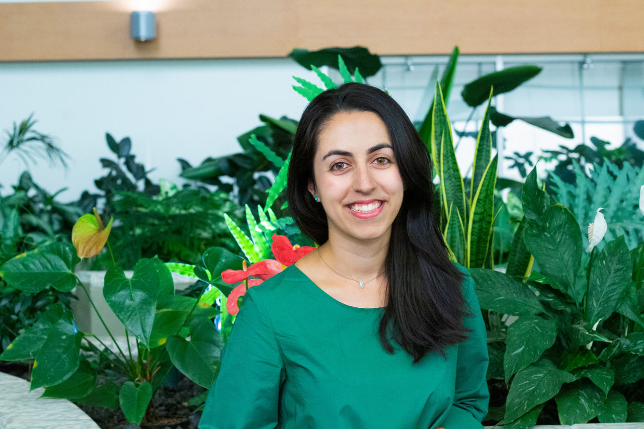 Dr. Fatemeh Ramazani